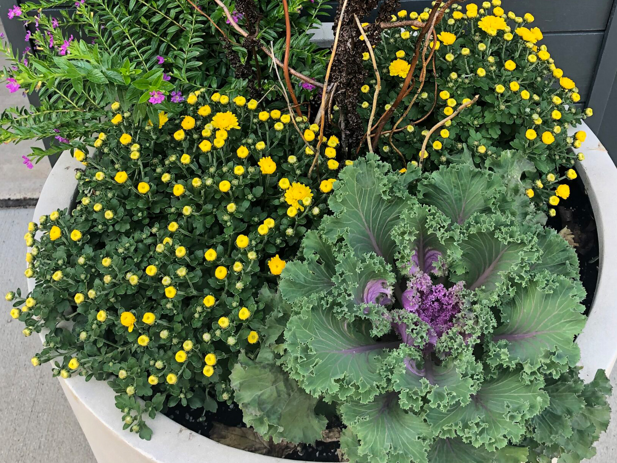Patio Pot